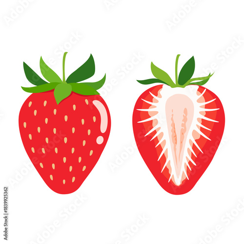 イチゴ1粒と断面のイラストセット