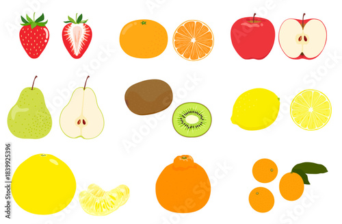 冬が旬の果物のセット