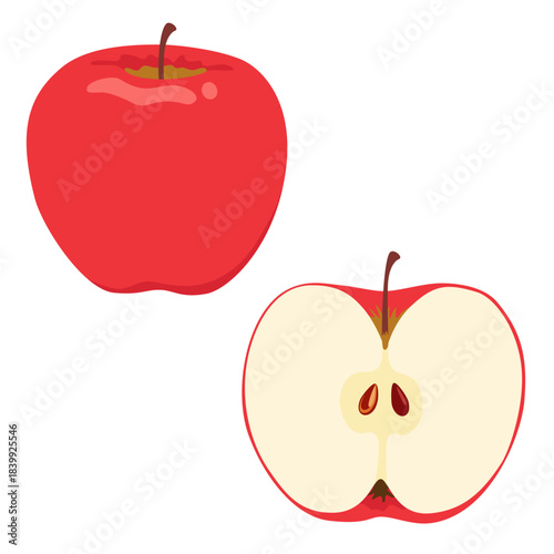 りんご1個と断面のイラストセット