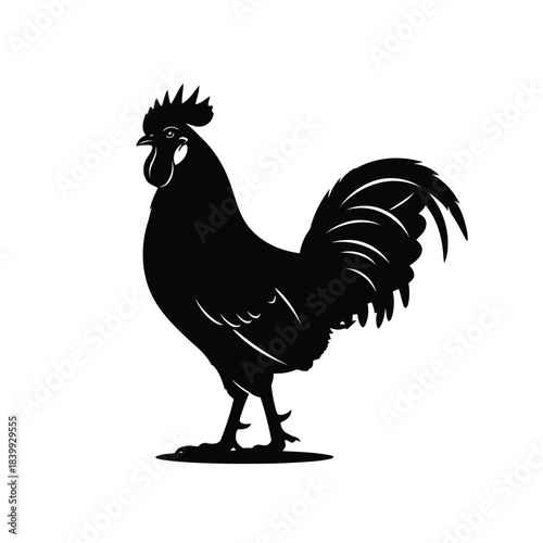 Detailed Rooster Silhouette Vector Illustration. Farm Animal, Mascot, Fowl, and Symbol of Strength Graphic.