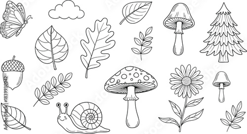 Hand drawn botanical elements including mushrooms ferns and leaves