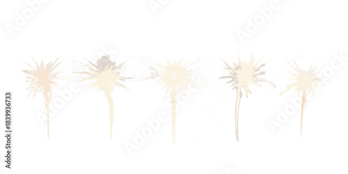 Five abstract floral shapes against a stark black background shown