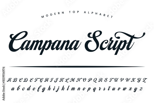 Canvas Print Campana Script font and alphabet set of vector calligraphy letter a b c d script