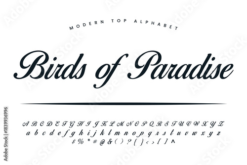 Birds of Paradise font and alphabet set of vector calligraphy letter a b c d script font isolated letters