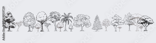 Minimal style cad tree line drawing, Side view, set of graphics trees elements outline symbol for architecture and landscape design drawing. outdoor forest garden section