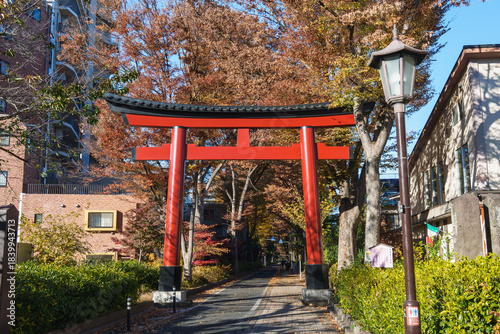 鳥居　2025年11月28日撮影（さいたま市大宮）