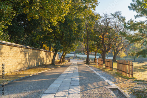 東大寺周辺の道 早朝 2025年12月7日（奈良）