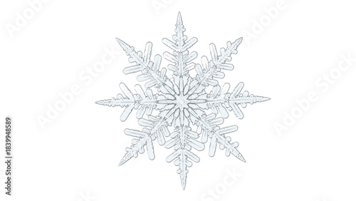 Close-up macro photograph of a beautiful, intricate, and delicate hexagonal snowflake with crystalline structure.