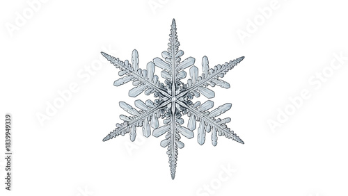 Close-up macro photograph of a single, intricate, six-sided snowflake with delicate crystalline arms and branches, isolated on a pure white background.