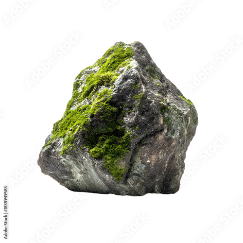 Unique Mossy Rocks with Textures, Nature's Beauty in Focus