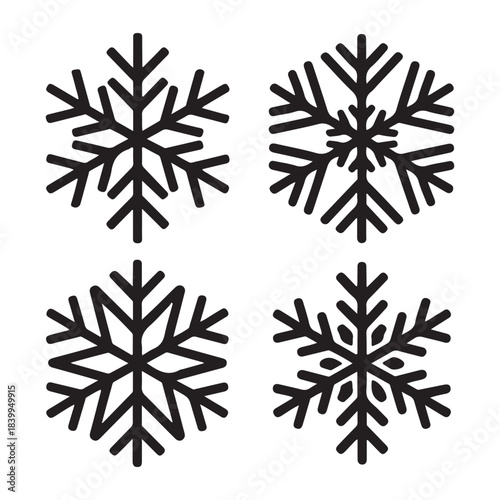 Crystal snowflake frozen winter detailed silhouette vector artwork