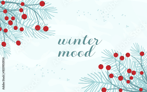 Winter snowy background. Blue spruce branches and twigs with red berries. Text 