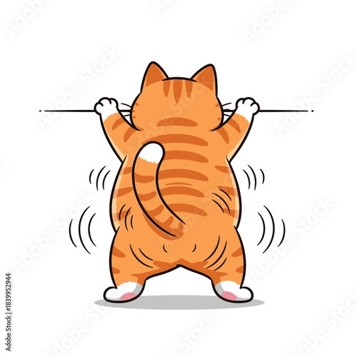 a plump orange tabby cat