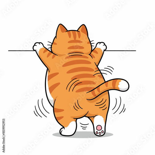 a plump orange tabby cat