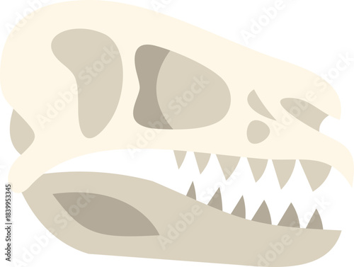 Side view of carnivorous dinosaur skull with sharp teeth