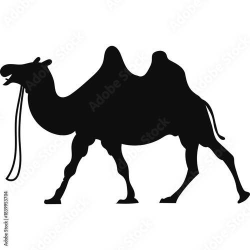 Camel Silhouette Islamic Illustration
