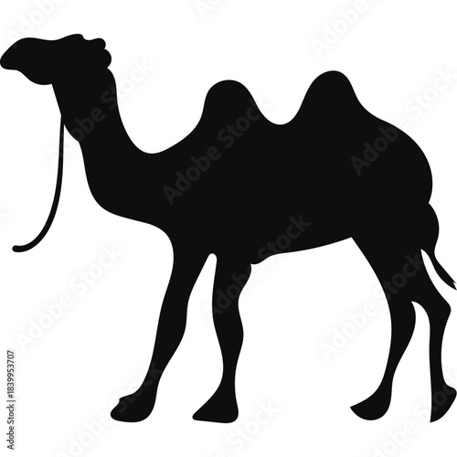 Camel Silhouette Islamic Illustration