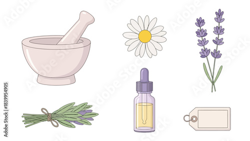 Vector art illustration set of nature icon with vector flowers and vector bottle for herbal medicine