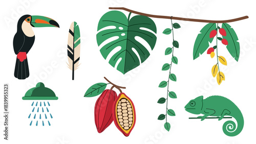 Vector art set of colorful nature icons including a toucan and chameleon in the rainforest.