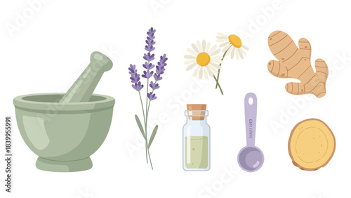 Vector art illustration of a nature icon set featuring a mortar with herbal ingredients and vector flowers.