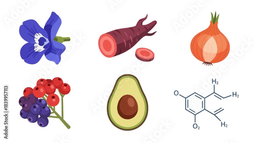 Vector art of nature elements in a vector set, icon design showcasing vector graphics.