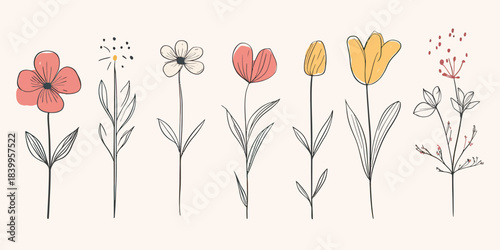 Hand drawn simple floral doodle set with colorful red, white, yellow flowers and leaves, minimalist spring garden plant vector illustration on light background