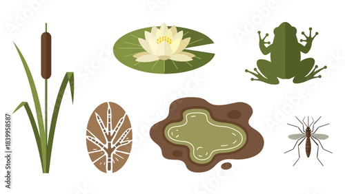 Vector art icon set depicting nature scene with frog, lily pad, cattail, and mosquito in vector.