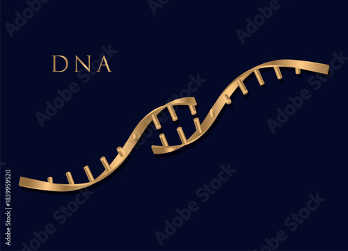 Gold DNA with biological concept, 3d  illustration.