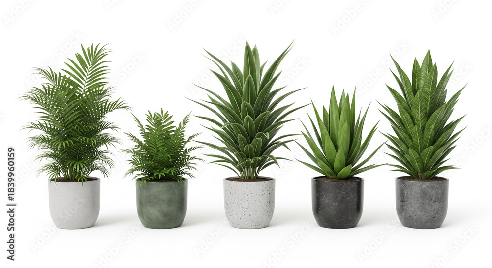 Obraz premium Diverse Houseplants: A curated collection of diverse, vibrant houseplants, each in a unique pot, showcasing the beauty of indoor nature, perfect for enhancing any interior space.