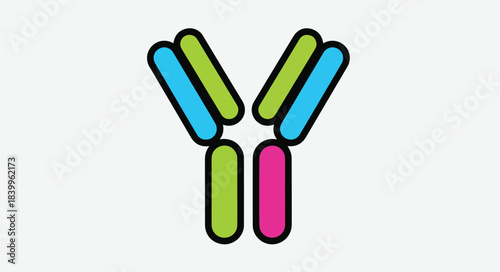 A colorful graphic illustration of an antibody molecule with pink, blue, green and black outlines on a white background.