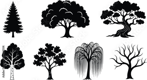 Tree silhouettes, coniferous tree, broadleaf tree, twisted trunk, birch shape, willow branches, leafless tree, nature icons, black vector, botanical clipart