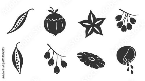 Botanical fruit plant icons. Seed pods, berries, star fruit, natural elements, food ingredients.