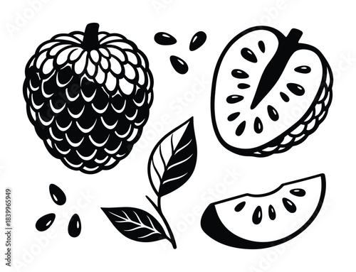 Cherimoya fruit set. Whole, sliced, and seeds with leaf. Sweet exotic fruit illustration.