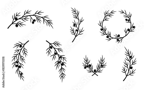 Decorative olive tree branches with fruits, vector illustration. Wreaths borders elements for design.