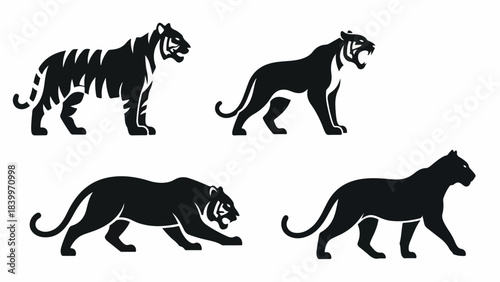 Four black tiger silhouettes walking in different positions on a white background with a graphic design style.