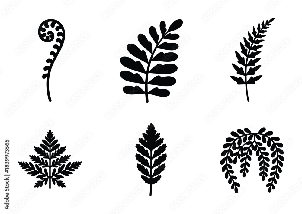 Obraz premium Fern leaf silhouettes. Collection of various leaves symbolizing nature and botany. Isolated on white.