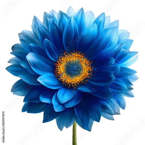 Vivid Glowing Blue Sunflower Blossom for Designers and Creatives