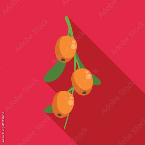 Sea buckthorn berries hanging from a branch against a solid red background