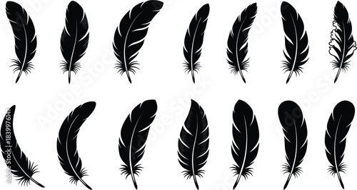 Elegant black feather silhouette vector collection featuring detailed quill shapes, decorative bird plumage and minimalist design elements