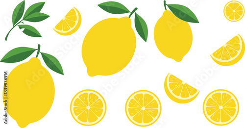 Fresh lemon fruit vector set with whole lemons, slices, wedges, citrus halves, leaves and juicy yellow illustrations