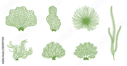 Green seaweed plant icon set. Aquatic plant, marine life, underwater flora, sea grass element.