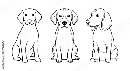 Simple Black and White Line Drawing of Three Adorable Puppies Sitting and Looking Forward