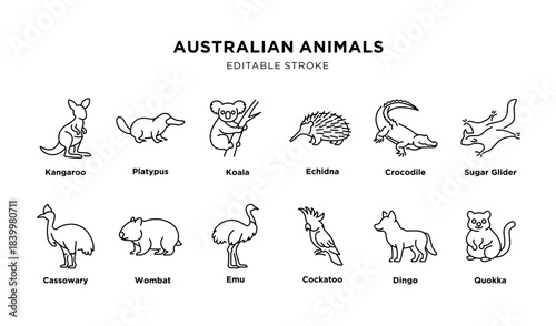 Illustrated Guide to Australian Animals, Editable Stroke