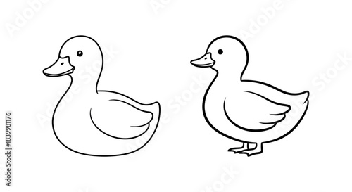 Two simple outline illustrations of a duck and a duckling in black and white line art, ideal for children's coloring books, educational activities, or charming animal graphics