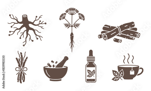 Natural remedies line icons, traditional medicine, holistic wellness, herbal healing elements.