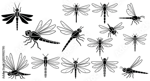Collection of elegant black and white dragonfly and damselfly silhouettes, perfect for nature projects, logos, and design elements.