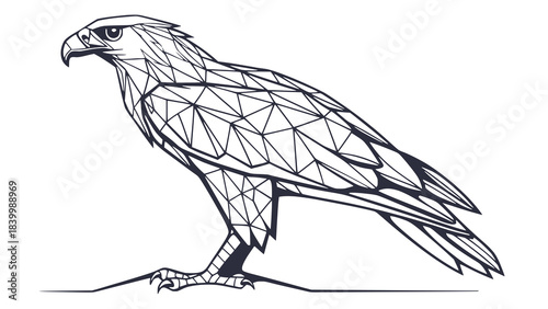 Geometric eagle illustration a modern stylized bird of prey design