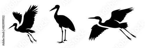 Crane Silhouette Vector Collection