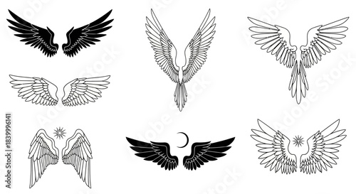 Fotografie Elegant collection of diverse wing designs, from classic feathered to stylized celestial motifs, offering artistic versatility for branding and creative projects