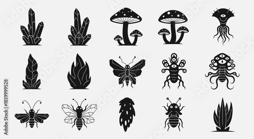 Enchanting collection of mystical fantasy elements including magical crystals, whimsical mushrooms, fantastical creatures, and intriguing flora for your creative projects